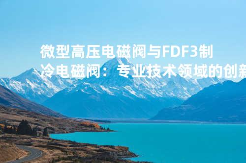 微型高压电磁阀与 FDF-3 制冷电磁阀：专业技术领域的创新