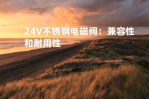 24V不锈钢电磁阀：兼容性和耐用性