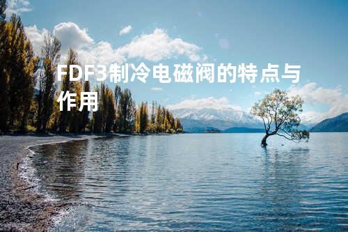 FDF-3制冷电磁阀的特点与作用