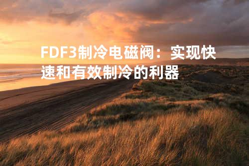 FDF-3制冷电磁阀：实现快速和有效制冷的利器