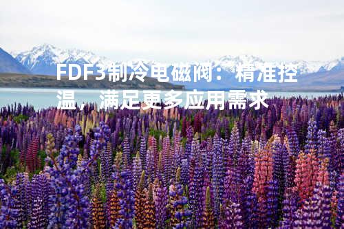 FDF-3制冷电磁阀：精准控温，满足更多应用需求