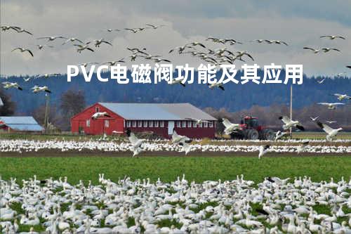 PVC电磁阀功能及其应用